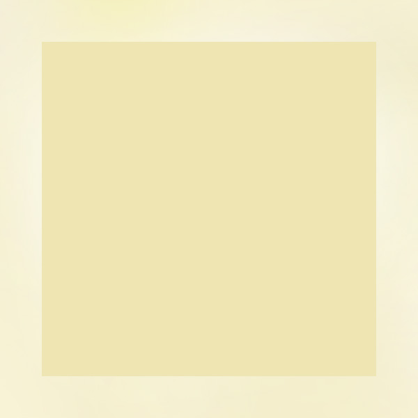 断熱性能向上型 中規模リノベーション